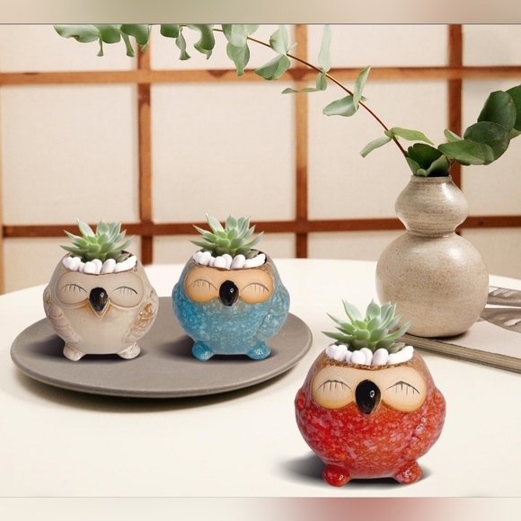 NWOT | Adorable Ceramic Owl Succulent Planter Pots | Set Of 4 | Drainage Holes - Picture 2 of 16